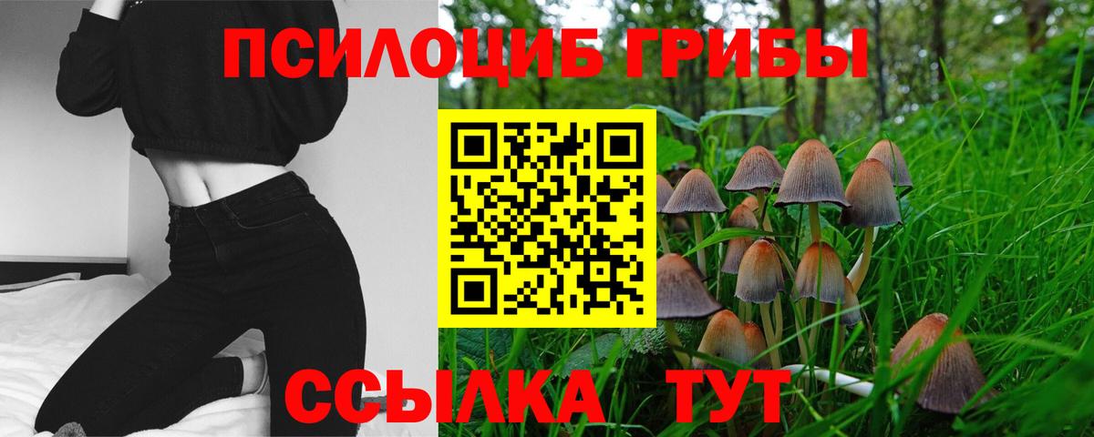 Псилоцибиновые грибы мицелий Еманжелинск